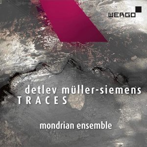 Detlev Müller-Siemens: Traces