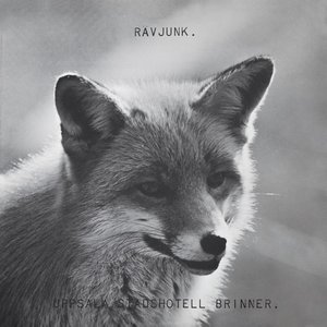 Uppsala Stadshotell Brinner