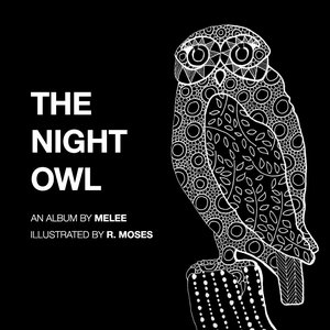 The Night Owl