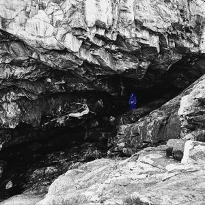 Bellwether and Swine