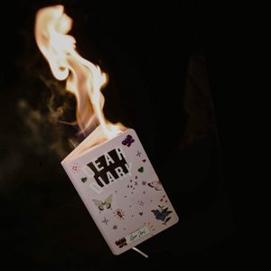 Dear Diary