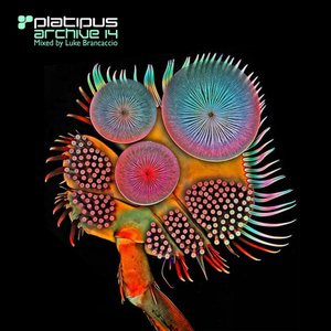 Platipus Archive 14