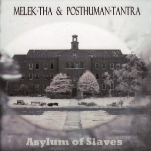 Asylum Of Slaves