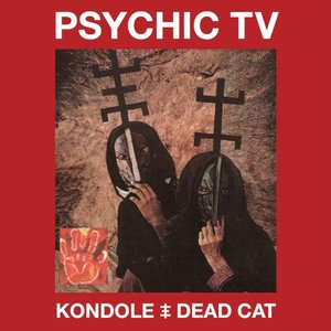 Kondole / Dead Cat