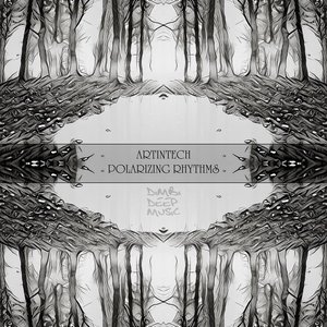 Polarizing Rhythms