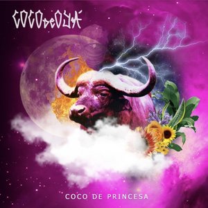 Coco de Princesa