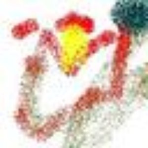 Avatar for Andreas Beckers