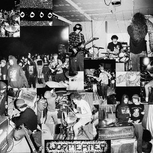 WORM EATER 的头像