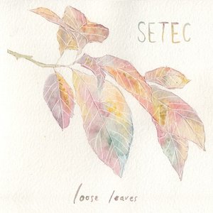 Loose Leaves - Single