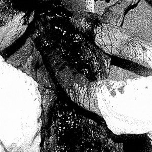 Post Mortem Convulsion