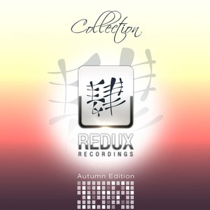 Redux Recordings Collection Autumn Edition 2013