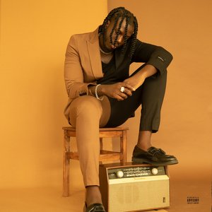 Brwn Flex Fm