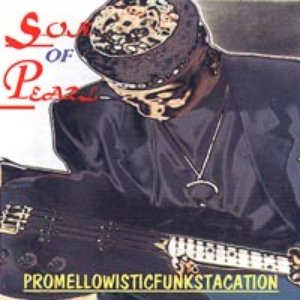 promellowisticfunkstacation