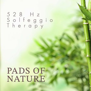 528 Hz Solfeggio Therapy