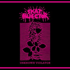 Unknown Violator