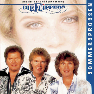 Die Flippers - Im Sommer Der Erinnerung Lyrics - Zortam Music