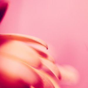 Yoga Motion 的头像