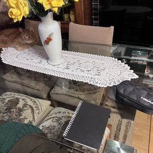 pi day(s)