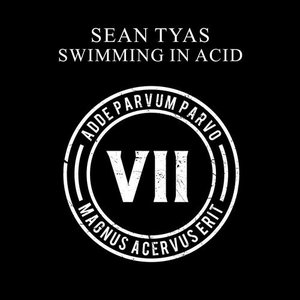 Sean Tyas - Swimming In Acid - Zortam Music