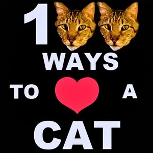 100 Ways to Love A Cat