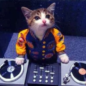 DJ Boris the Cat 的头像