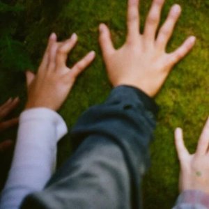 you can hold the stars until they burn right through your hands - Single