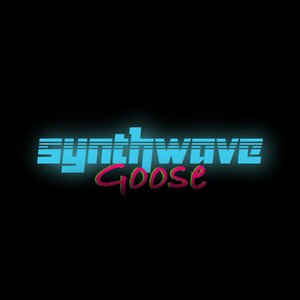 Synthwave Goose 的头像