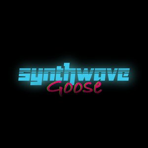 Avatar for Synthwave Goose