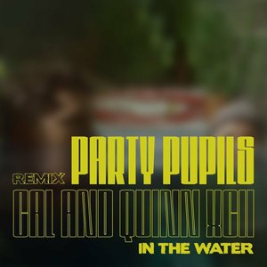 In the Water (Party Pupils Remix) [feat. Quinn XCII] - Single