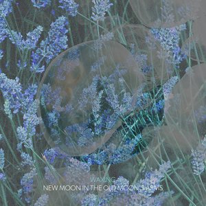 New Moon in the Old Moon's Arms