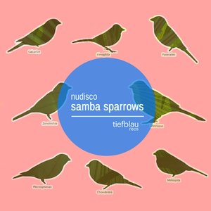 Samba Sparrows