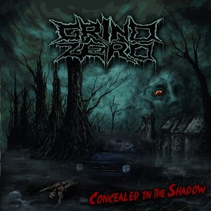 Concealed In The Shadow