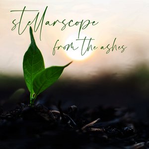 From The Ashes