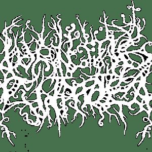 Wailing Citadel 的头像