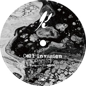 Cell Invasion - Single