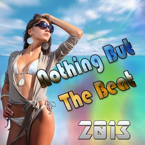 Nothing But the Beat (2013)