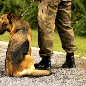 Compadres photo provided by Last.fm