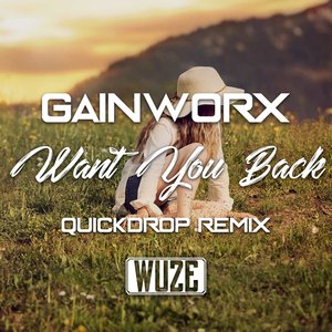 Want You Back (Quickdrop Remix)