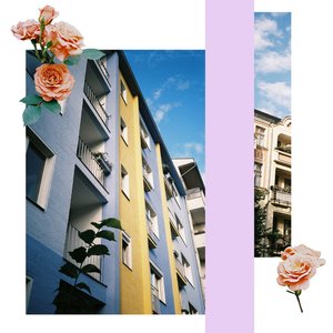 Chicken Soup (Instrumental)