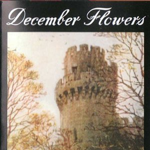 December Flowers