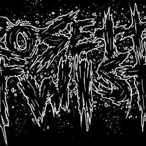 Avatar für Rosetta Twist