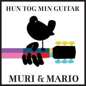 Hun Tog Min Guitar