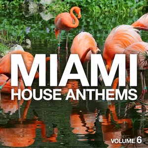 Miami House Anthems, Vol. 6