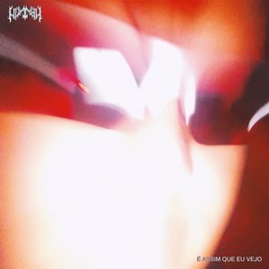 É ASSIM QUE EU VEJO