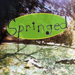 Springed 的头像