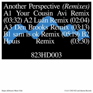 another perspective (Remixes)