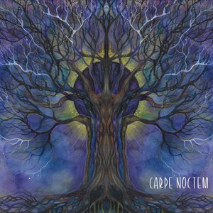 Carpe Noctem