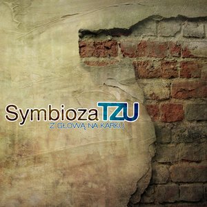 SymbiozaTZU 的头像