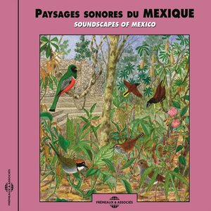 Paysages sonores du Mexique (Soundscapes of Mexico)