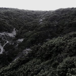 Enchanted Lungs